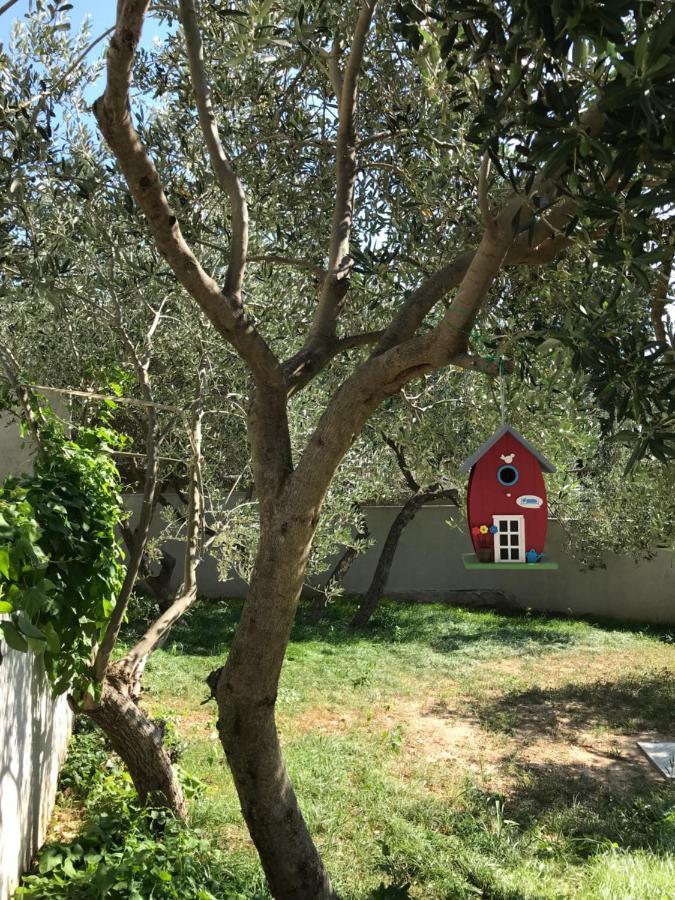 Apartmani "Allegro" Podaca Dış mekan fotoğraf